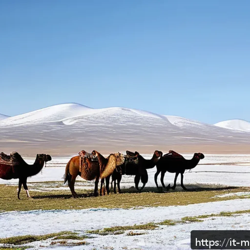 몽골의 초원 라이프스타일 - A serene Mongolian steppe scene during early spring, featuring a traditional circular yurt made of w...